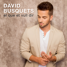David Busquets - El que et vull dir