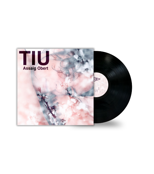 206-vn-tiu-assaig-obert.png