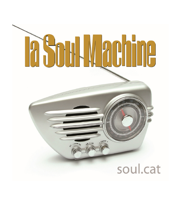 09-lasoulmachine-soul.cat.png